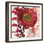 Red Poppy Story-Melissa Pluch-Framed Art Print