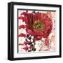 Red Poppy Story-Melissa Pluch-Framed Art Print