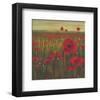 Red Poppy Sunrise-null-Framed Art Print