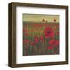 Red Poppy Sunrise-null-Framed Art Print