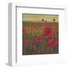 Red Poppy Sunrise-null-Framed Art Print