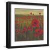 Red Poppy Sunrise-null-Framed Art Print