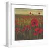 Red Poppy Sunrise-null-Framed Art Print