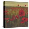 Red Poppy Sunrise-null-Stretched Canvas