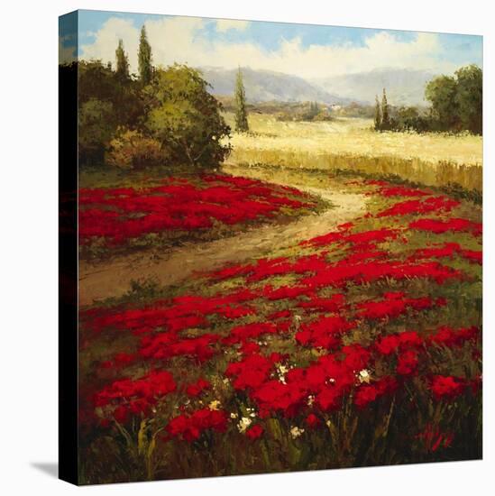 Red Poppy Trail-Hulsey-Stretched Canvas