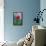 Red poppy-Lisa S. Engelbrecht-Framed Stretched Canvas displayed on a wall