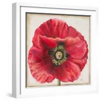 Red Poppy-Patricia Pinto-Framed Art Print