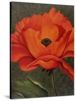 Red Poppy-John Zaccheo-Stretched Canvas