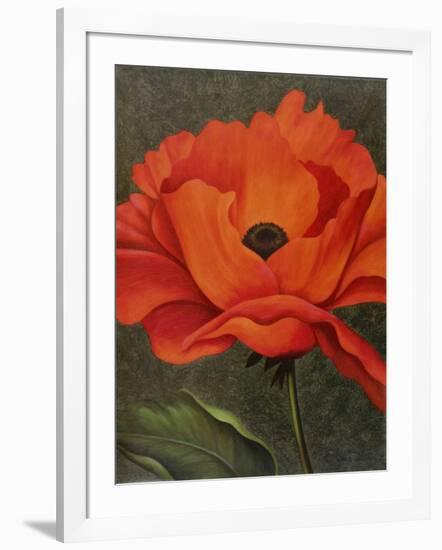 Red Poppy-John Zaccheo-Framed Giclee Print