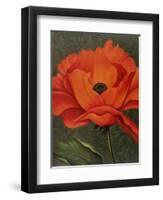 Red Poppy-John Zaccheo-Framed Premium Giclee Print