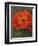 Red Poppy-John Zaccheo-Framed Premium Giclee Print