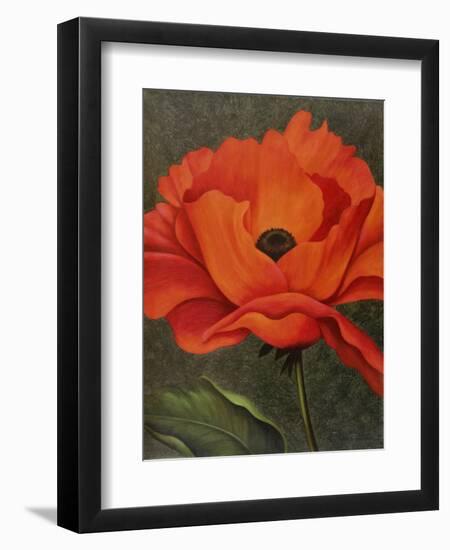 Red Poppy-John Zaccheo-Framed Premium Giclee Print