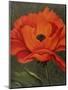 Red Poppy-John Zaccheo-Mounted Premium Giclee Print