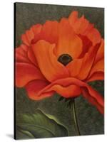 Red Poppy-John Zaccheo-Stretched Canvas