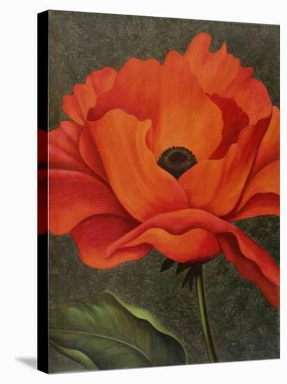 Red Poppy-John Zaccheo-Stretched Canvas
