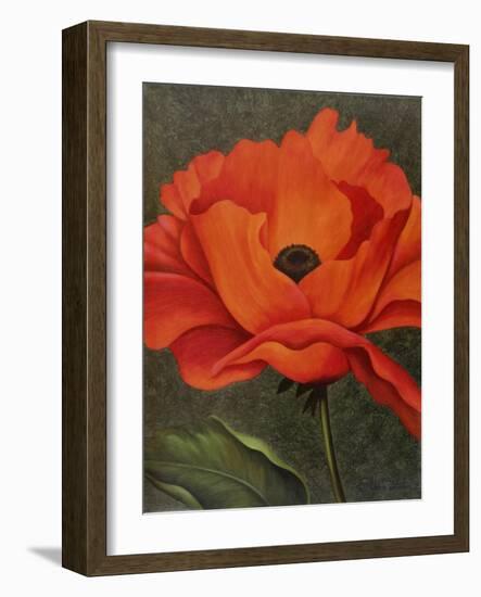 Red Poppy-John Zaccheo-Framed Giclee Print