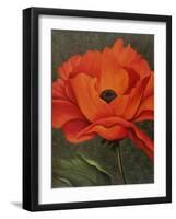 Red Poppy-John Zaccheo-Framed Giclee Print