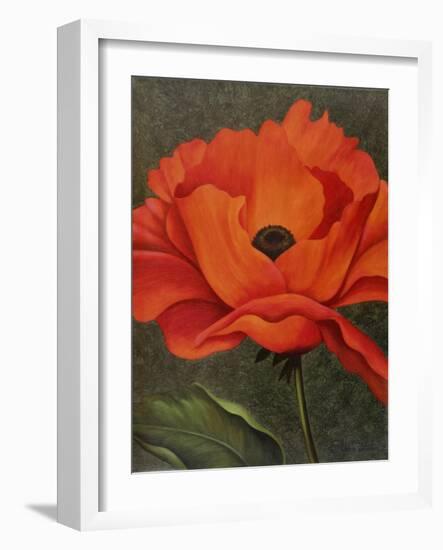 Red Poppy-John Zaccheo-Framed Giclee Print