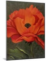 Red Poppy-John Zaccheo-Mounted Giclee Print