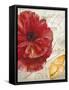 Red Poppy-Color Bakery-Framed Stretched Canvas