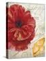 Red Poppy-Color Bakery-Stretched Canvas