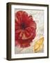 Red Poppy-Color Bakery-Framed Giclee Print