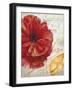 Red Poppy-Color Bakery-Framed Giclee Print