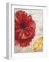 Red Poppy-Color Bakery-Framed Giclee Print