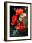 Red Poppy-Vivienne Dupont-Framed Art Print