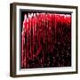 Red Prayer Beads, from the Series Misbaha, 2016-Joy Lions-Framed Giclee Print