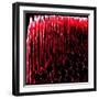 Red Prayer Beads, from the Series Misbaha, 2016-Joy Lions-Framed Giclee Print