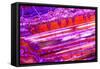 Red Purple Dragon Vein Agate Pattern-maury75-Framed Stretched Canvas