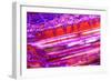 Red Purple Dragon Vein Agate Pattern-maury75-Framed Photographic Print