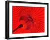 Red Radial, Japan-Shin Terada-Framed Photographic Print