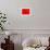 Red Radial, Japan-Shin Terada-Framed Photographic Print displayed on a wall