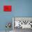Red Radial, Japan-Shin Terada-Mounted Photographic Print displayed on a wall