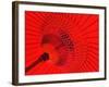 Red Radial, Japan-Shin Terada-Framed Photographic Print