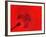 Red Radial, Japan-Shin Terada-Framed Photographic Print