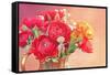 Red Ranunculus Flowers-Tsokur-Framed Stretched Canvas