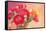 Red Ranunculus Flowers-Tsokur-Framed Stretched Canvas