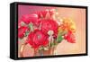 Red Ranunculus Flowers-Tsokur-Framed Stretched Canvas