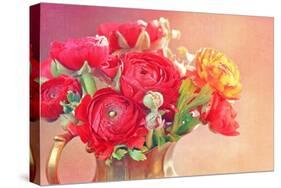 Red Ranunculus Flowers-Tsokur-Stretched Canvas