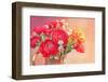 Red Ranunculus Flowers-Tsokur-Framed Photographic Print
