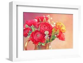 Red Ranunculus Flowers-Tsokur-Framed Photographic Print