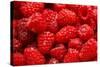 Red Raspberries, Keizer, Oregon, USA-Rick A Brown-Stretched Canvas
