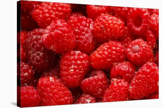 Red Raspberries, Keizer, Oregon, USA-Rick A Brown-Stretched Canvas