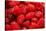 Red Raspberries, Keizer, Oregon, USA-Rick A Brown-Stretched Canvas