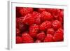 Red Raspberries, Keizer, Oregon, USA-Rick A Brown-Framed Photographic Print