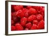 Red Raspberries, Keizer, Oregon, USA-Rick A Brown-Framed Photographic Print