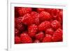 Red Raspberries, Keizer, Oregon, USA-Rick A Brown-Framed Photographic Print